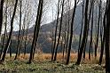 L'Adda - paesaggi e atmosfere 046